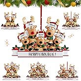 Personalized Reindeer Christmas Ornaments 2025, DIY Resin Elk Deer Family Ornaments with Custom Name, Tree Decorations, 3D Customized Christmas Ornament Gifts (Family of 5)