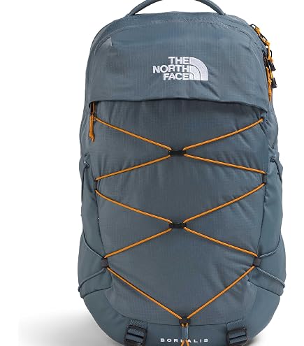 The North Face Jester Everyday Laptop Backpack, Gy/Dust Org, OSFA
