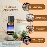 Essican Purelife Christmas Spice Fragrance Oil 10ml - Vegan & UK Made view 3