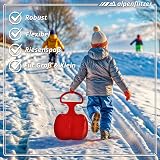 Alpenflitzer 2x Bob Sledges with Handle Kids Snow Sledge Blue Red Toboggan view 2
