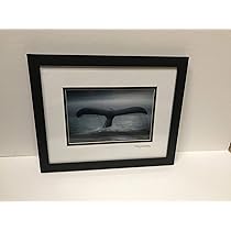 Amazon.com: by Wyland Whales Tail Custom Framed in Flat