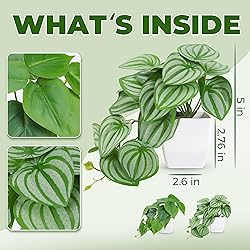 Der Rose 2Pcs Small Fake Plants Artificial Mini