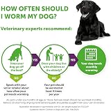 Drontal Tasty Bone Wormer Tablets Small to Medium Dogs 2-20 kg x2 UINCLU view 6