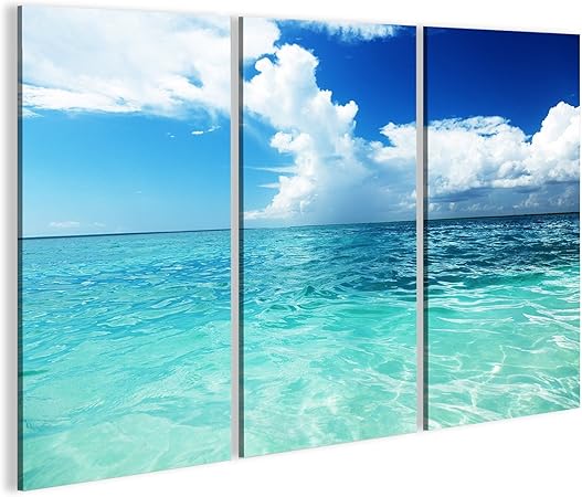 cuadros del mar amazon