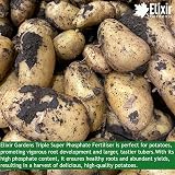 Elixir Gardens Triple Super Phosphate Fertiliser 0-46-0 For Fruit Veg Flowers view 6