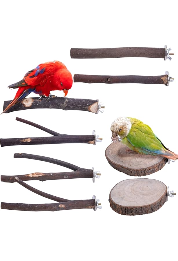 Hcpet Parrot Perches 6 PCS Bird Perches Budgie Perch Cockatiel Perch