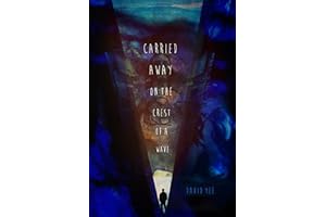 carried away on the crest of a wave