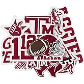 13PCS Iron on Patch,Baseball Iron on Patch for Hat,Jacket,Jeans and Backpack (A&M)