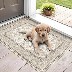 HILORUUG Washable Area Rug 2x3 - Entryway Living
