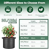 T4U 5-Pack 10 Gallon Fabric Grow Bags Heavy Duty with Handles view 5