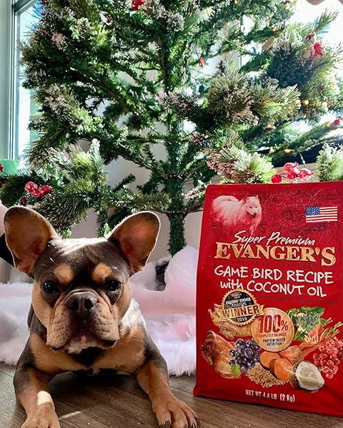EVANGER’S SUPER GAMEBIRD RECIPE WITH COCONUT OIL DRY DOG FOOD – 4.4 LB BAG – HYPOALLERGENIC DUCK & TURKEY FORMULA – GRAIN-FREE, SUPPORTS DIGESTIVE & COAT HEALTH