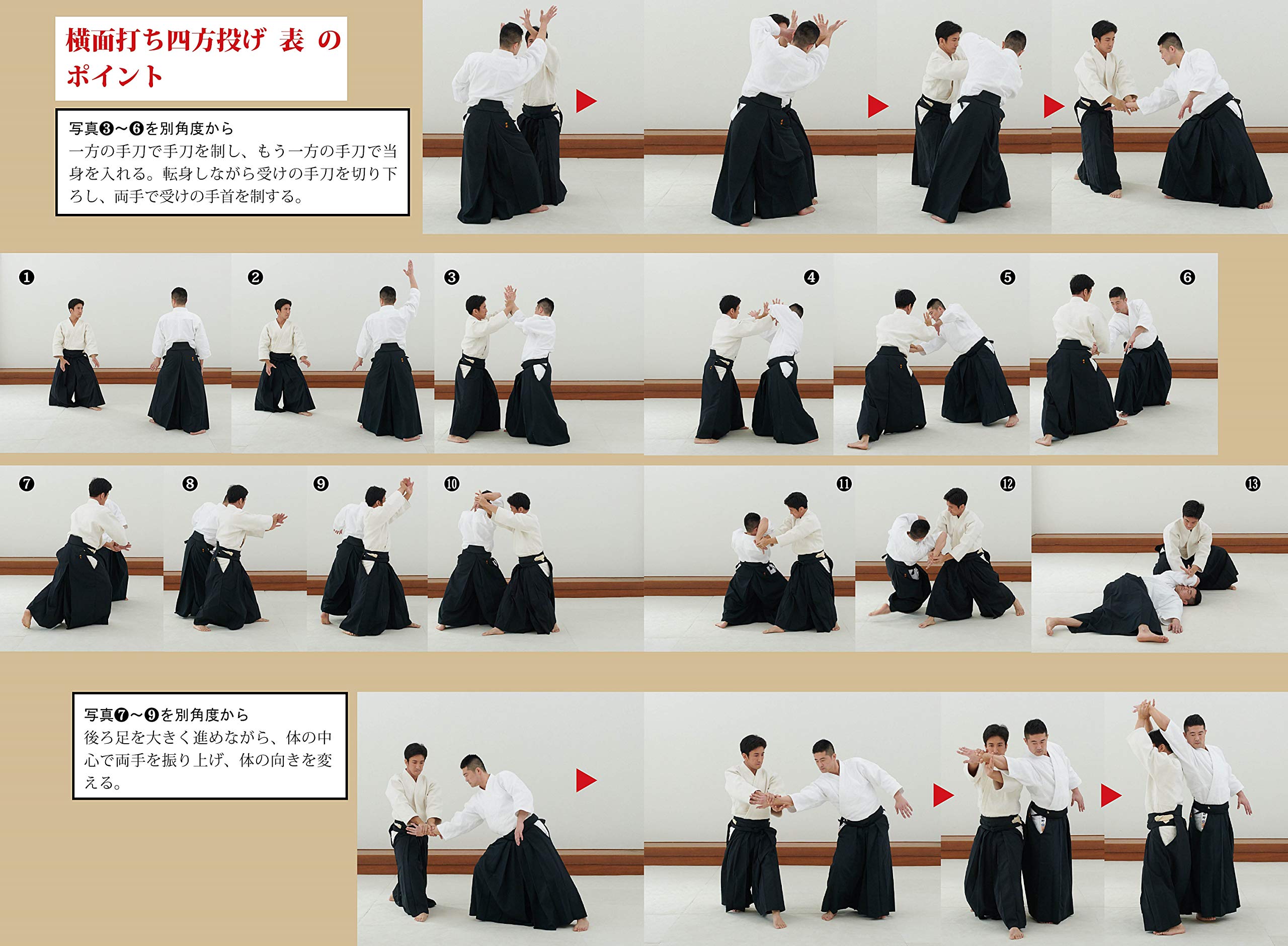 合気道入門 正確な稽古で基本を極める 植芝充央 本 通販 Amazon