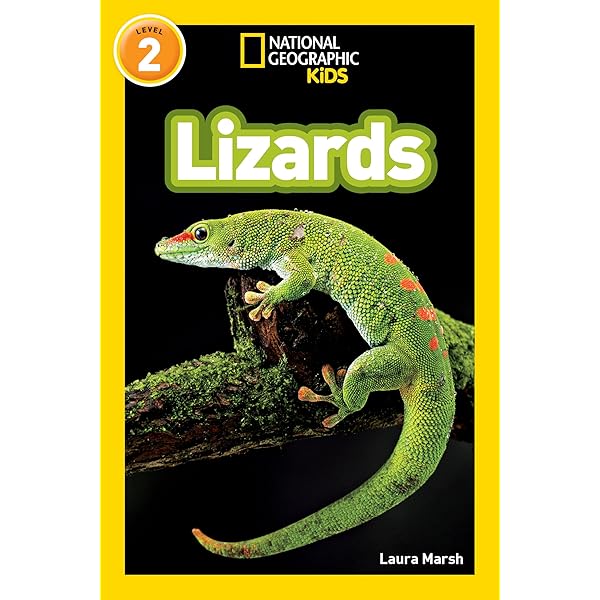National Geographic Kids レベル1,2,3 91Z+zy++zjL._UF350,350_QL50_.jpg