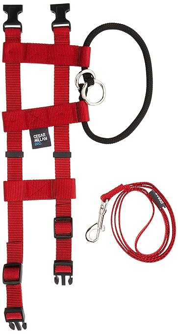 Original Illusion Collar Trainingshalsband & Leine des amerikanischen Hundeflüsterer Cesar Millan