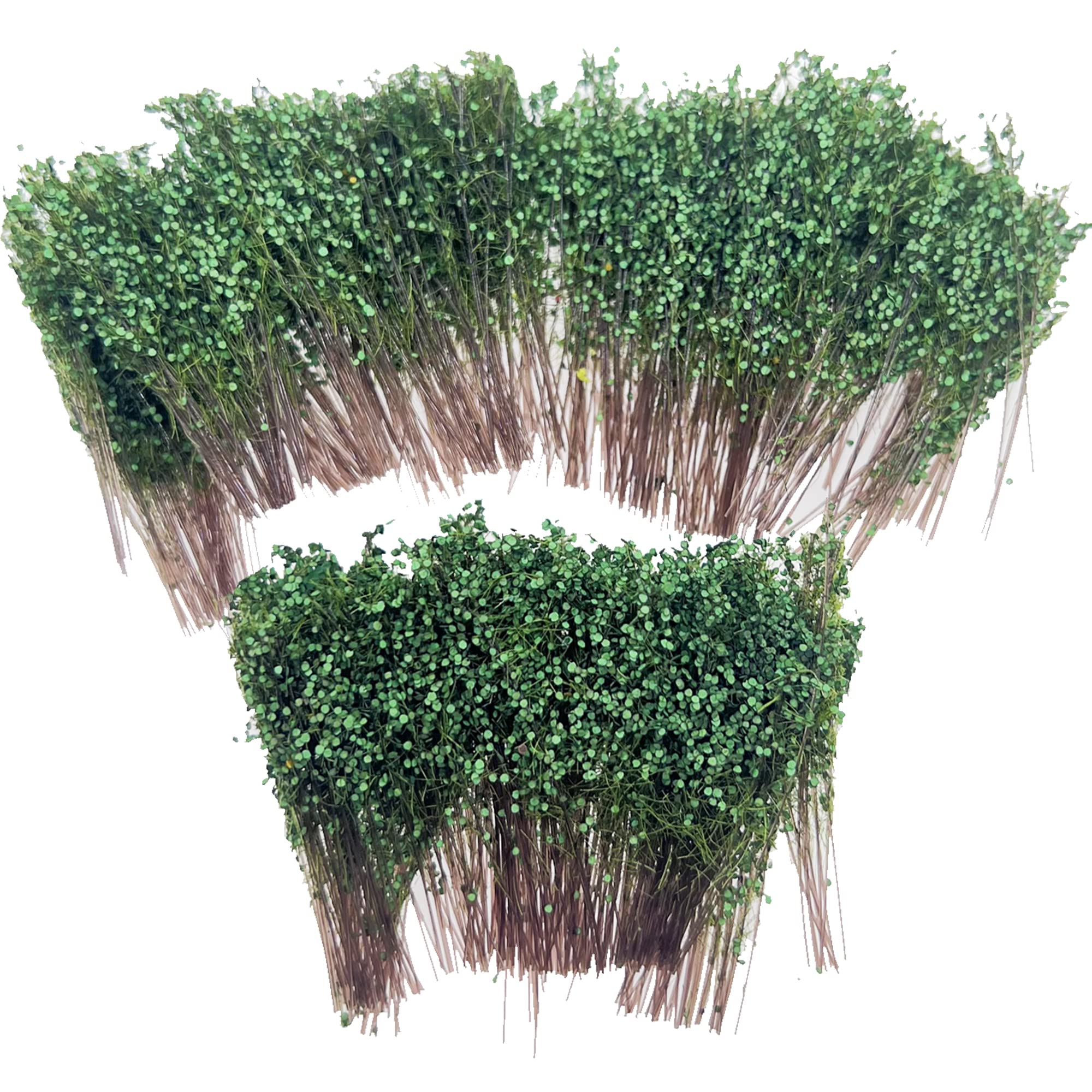 Woohome Green Miniature Shrubs - Long Shrub Vegetation Groups & Grass Tufts for DIY Architecture, Building Model Railway Train Diorama Garden Scenery Landscape Layout