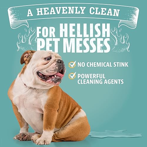 ANGRY ORANGE Foaming Carpet Upholstery Cleaner for Dog Urine and