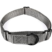 Country Brook Petz - Martingale Dog Collar - Heavy-Duty Training
