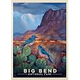 MyPuzzle Big Bend National Park: Birds – 500 Teile Premium Puzzle, 48x34 Cm, Klimakompensiert