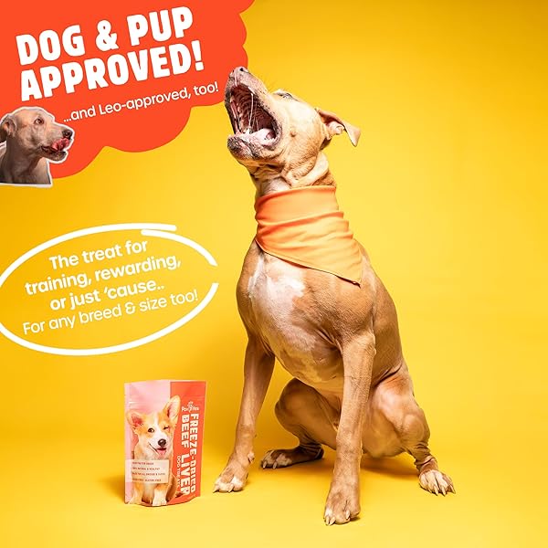 PAW BITES FREEZE DRIED DOG TREATS – BEEF LIVER WITH PROTEIN, DOG FOOD DRY SNACKS – WITH PROTEIN & OMEGA 3S – FOR ALL BREEDS & SIZES – NO ARTIFICIAL FLAVORS & DYES, NO PRESERVATIVES – 1 POUCH, 4 OZ