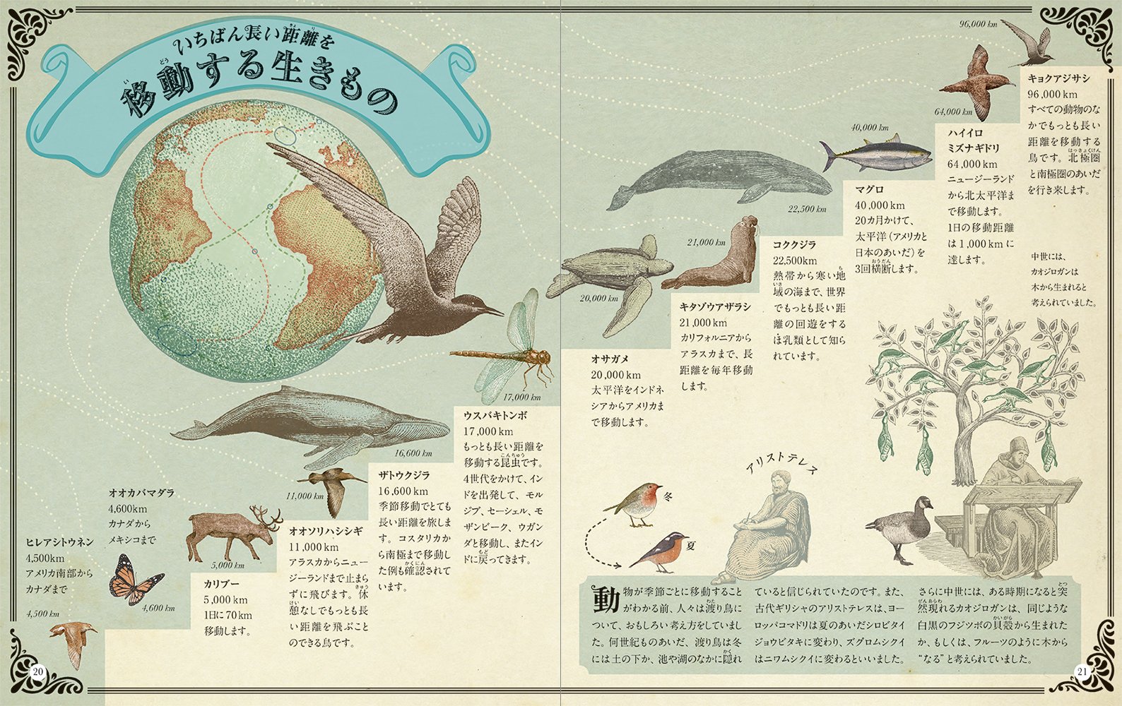 世界でいちばん高い山 世界でいちばん深い海 いきもの 地球のいちばん事典 Amazon Com Books