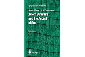 Xylem Structure and the Ascent of Sap