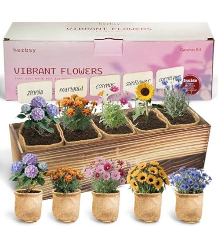 Amazon.com: Valentine's Day TickleMe Plant Lovers Box Grow Kit