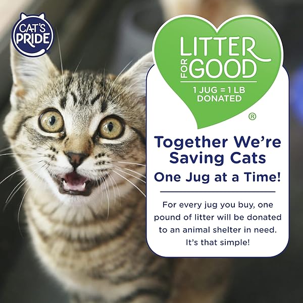 CAT’S PRIDE MAX POWER: BACTERIAL ODOR CONTROL – UP TO 10 DAYS OF POWERFUL ODOR CONTROL – STRONG CLUMPING – 99% DUST FREE – MULTI-CAT LITTER, FRESH SCENTED, 15 POUNDS