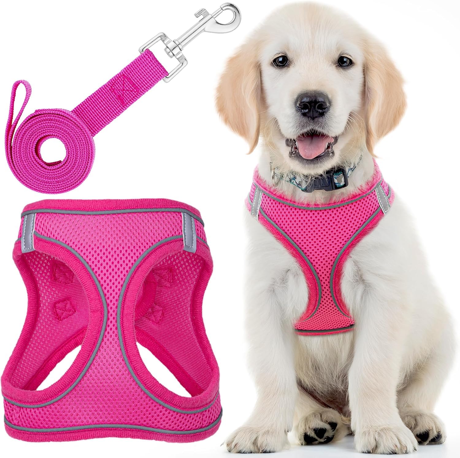 Dog Harness with Leash for Running, Hiking & Training - Small, Pink - Soft Padded & No Pull Design Pet Harness with Leash Clips + Reflective Strips for Small Dogs - by EcoEarth