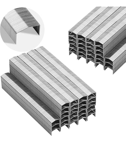 Amazon.com: Bostitch Office B8 PowerCrown Staples, 0.25