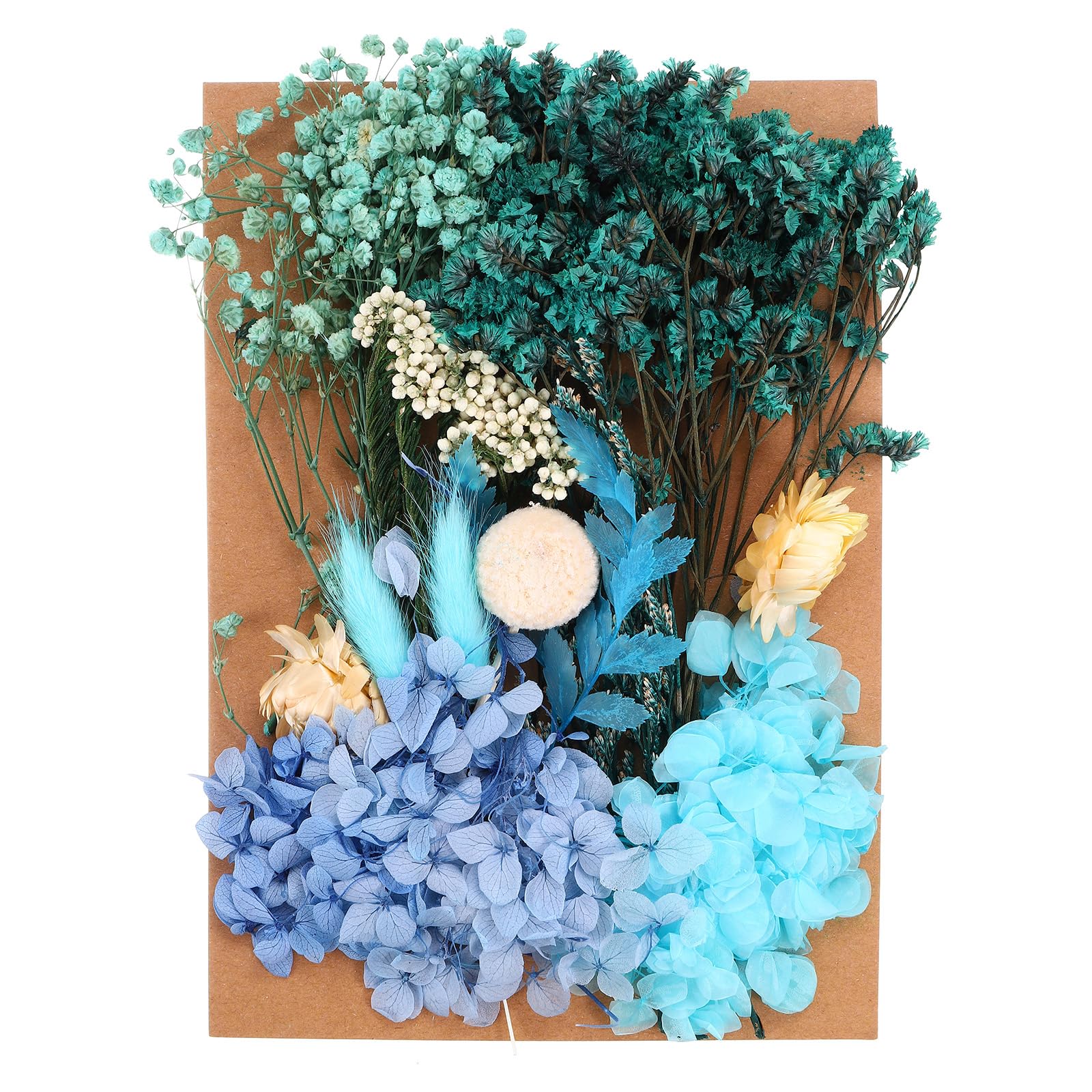PATIKIL Pressed Flowers for Craft, Bulk Dried Natural Leaves for Resin Soap Candle Scrapbooking DIY Gift Papermaking, Blue