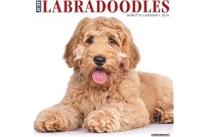 Willow Creek Press Labradoodles Monthly 2024 Wall Calendar (12" x 12")