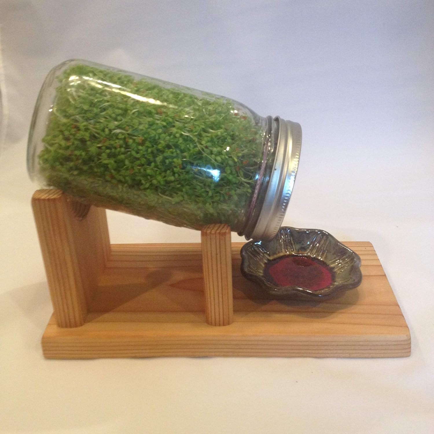 The Sprout Stand Sprouting Kit: Grocery & Gourmet Food