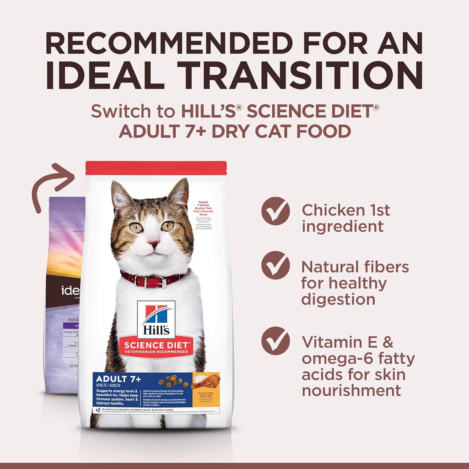 hills natures best cat