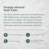Kneipp Arnica Mineral Bath Salts for Joint & Muscle Relaxation 17.63 oz view 5