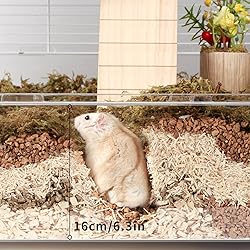 BUCATSTATE Hamster Cage 3-Level with