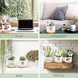 Funny TV Show Planter Pots,TV Show Merchandis Gifts
