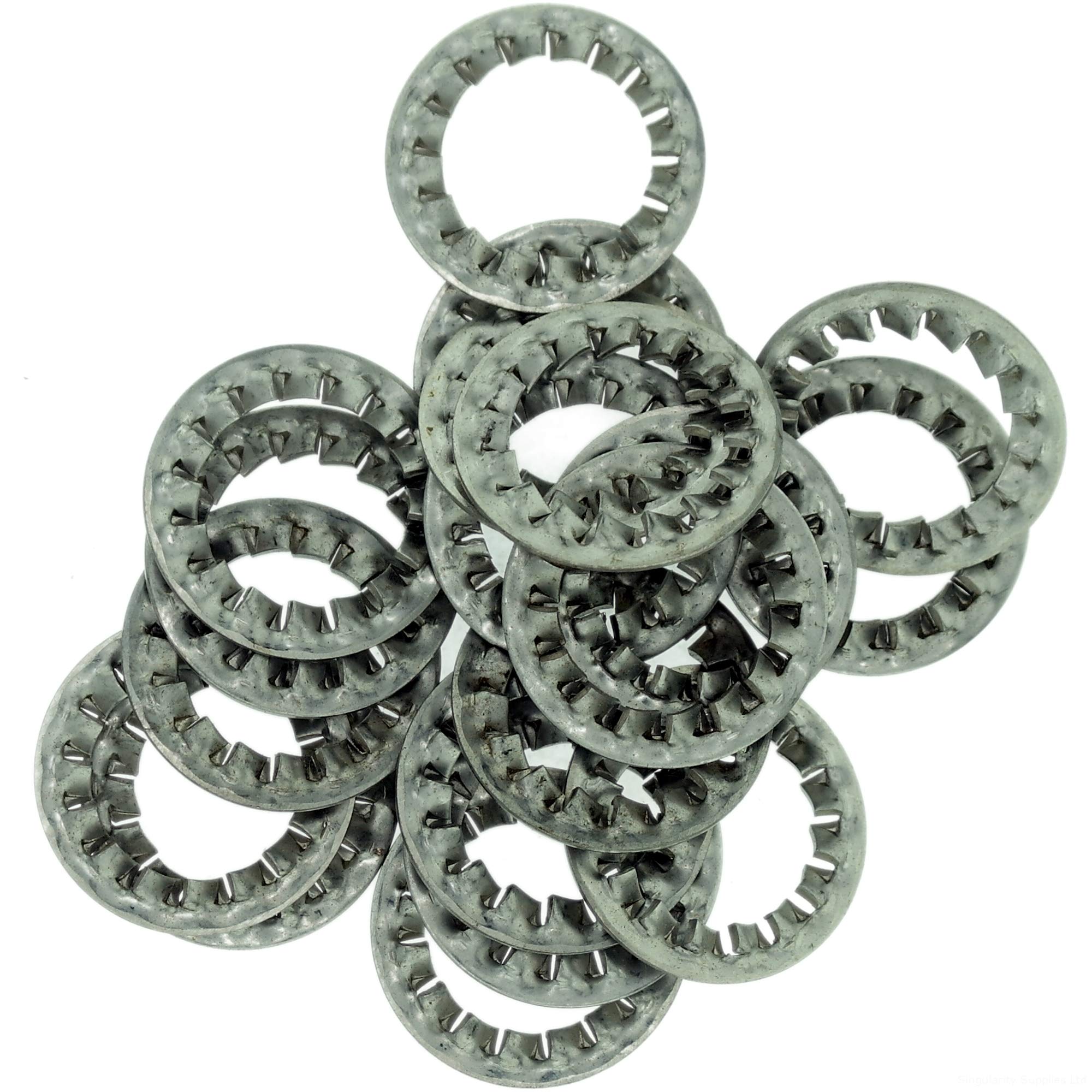 M24 (24mm) Shakeproof Washer (Internal Serrated) - Stainless Steel (A2) (Pack of 10) โ image 1