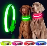 YFbrite Light Up Dog Collar Rechargeable LED Green Medium view 6