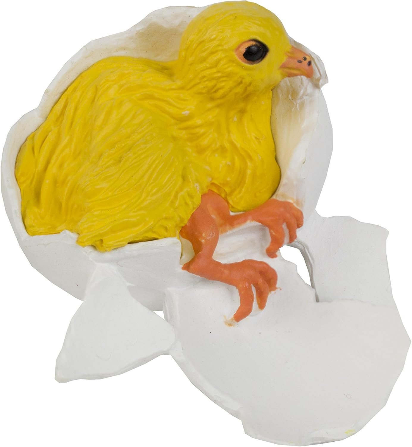 Safari Life Cycle Of A Chicken - Image 4