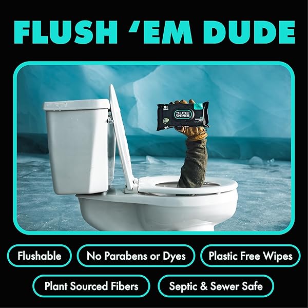DUDE WIPES – FLUSHABLE WIPES – 6 PACK, 288 COUNT – MINT CHILL – VITAMIN-E, ALOE, EUCALYPTUS & TEA TREE OILS – SEPTIC AND SEWER SAFE