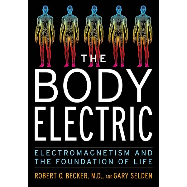 Amazon.com: Energy Medicine - E-Book eBook : Oschman, James L