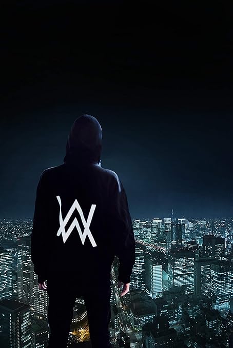 Foveroposter Poster Enrollado De The Best Alan Walker De On My Way De 30 5 X 45 7 Cm Amazon Es Amazon Es