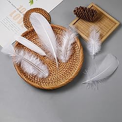 Larryhot White Craft Feathers Bulk - 240pcs 6 Style