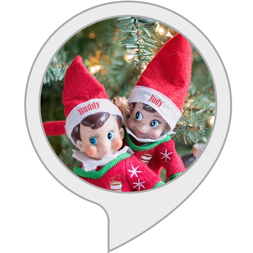 Amazon.in Unofficial Elf on the Shelf Ideas Alexa Skills