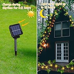 Solar Vine String Lights, 66Ft 200 Led Outdoor