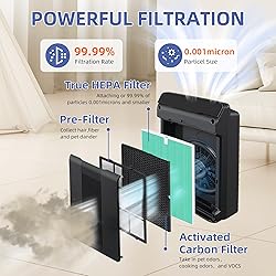 116130 HEPA Toxin Absorber Replacement Filter H for