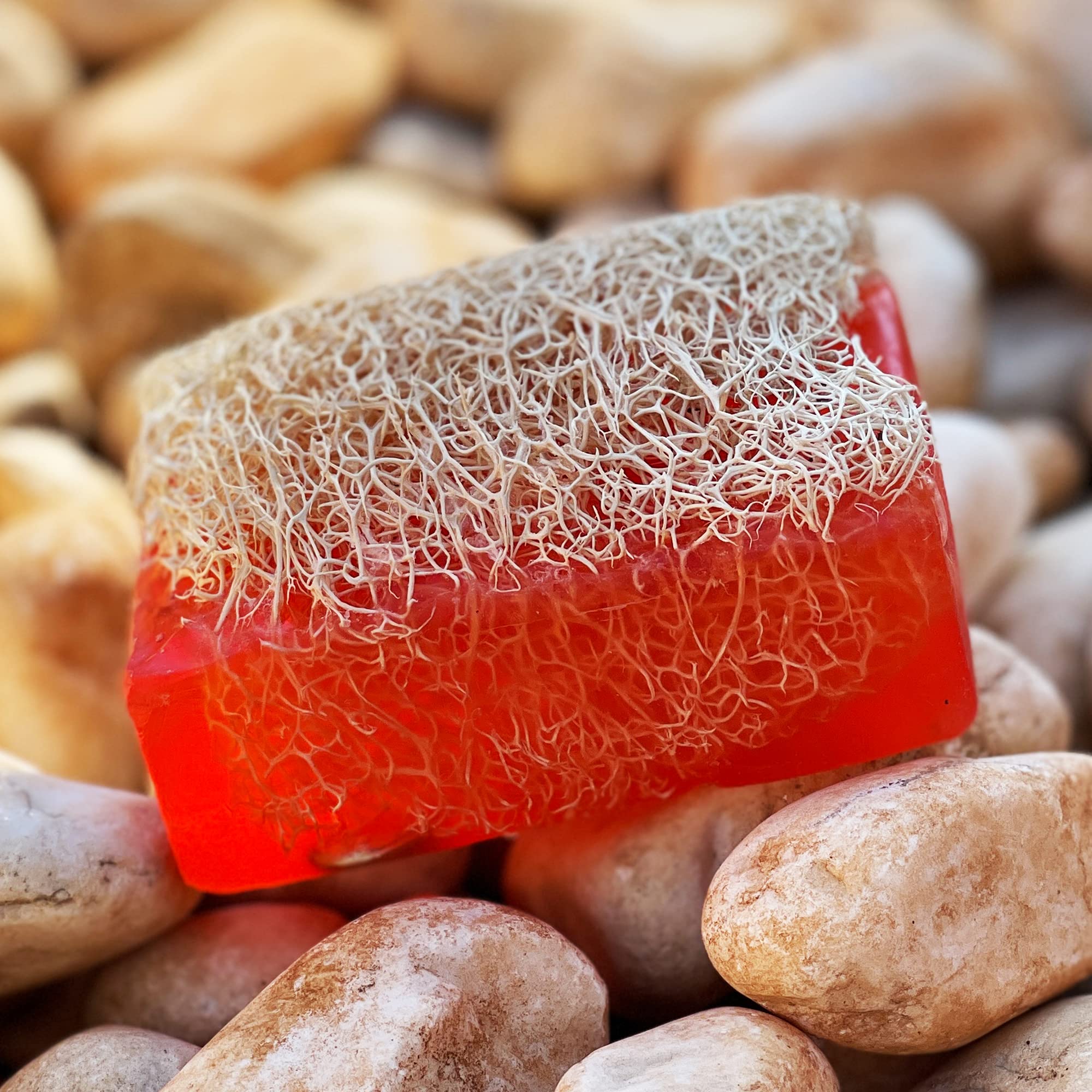 View 3