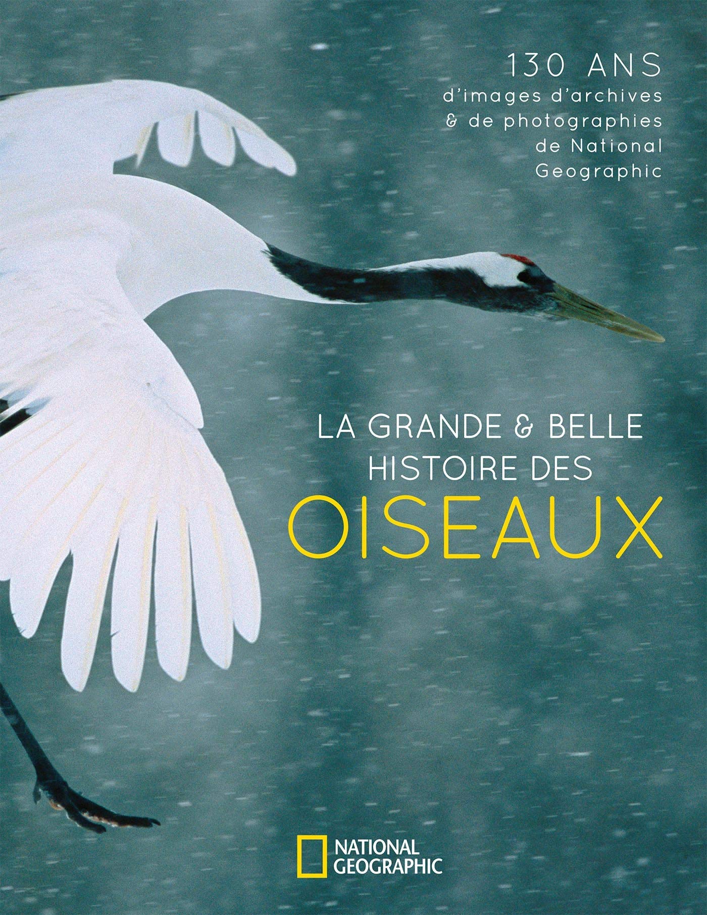 La Grande Et Belle Histoire Des Oiseaux Amazonca Howell