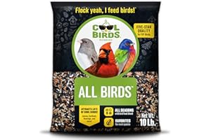 Cool Birds All Birds Wild Bird Seed – 10 lb. Classic Blend with Black Oil Sunflower, White Millet, Safflower, Peanuts & Sunflower Hearts – Balanced Bird Food for Outside Feeders