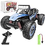 BEZGAR TB201 RC Cars-1:20 Scale Remote Control